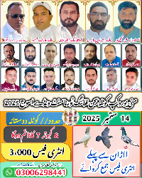 منی یورو کپ کوٹلہ ونڈے ٹورنامنت اسوج