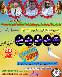 Yaran nal bhra pigeon club dhunni