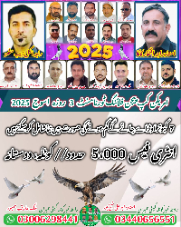 امریکن کپ خیر گنسار پیجن فلائنگ ٹورنامنٹ اسوج  3 روزہ