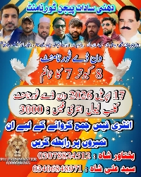 AlSadat Pigeon Club Dhunni