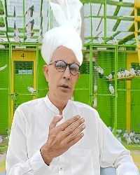 Pakistan grup 6