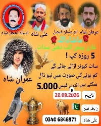 Ghazi Pigeon Club, Dhunni Sadat Champion